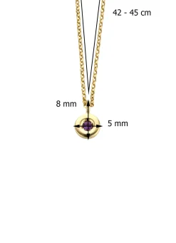 Diamond Point Colliers Met Kleurstenen<Birthstones gouden hanger met collier Februari
