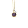 Diamond Point Colliers Met Kleurstenen<Birthstones gouden hanger met collier Februari