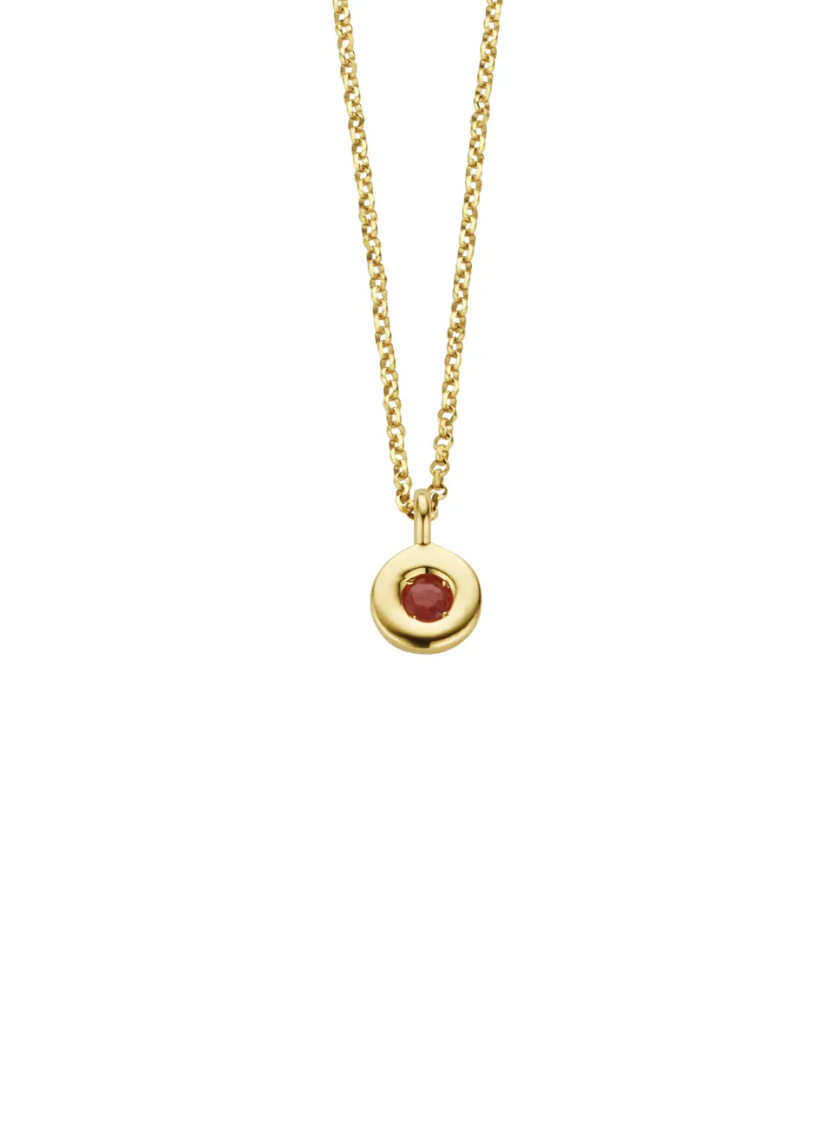 Diamond Point Colliers Met Kleurstenen<Birthstones gouden hanger met collier Juli