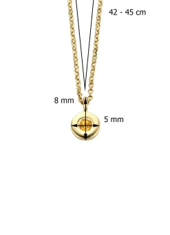 Diamond Point Colliers Met Kleurstenen<Birthstones gouden hanger met collier November