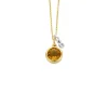 Diamond Point Colliers Met Kleurstenen<Birthstones gouden hanger met collier November