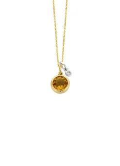 Diamond Point Colliers Met Kleurstenen<Birthstones gouden hanger met collier November