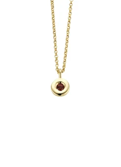 Diamond Point Colliers Met Kleurstenen<Birthstones gouden hanger met kleursteen Januari