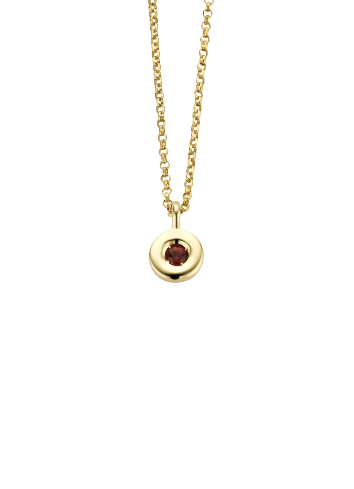 Diamond Point Colliers Met Kleurstenen<Birthstones gouden hanger met kleursteen Januari