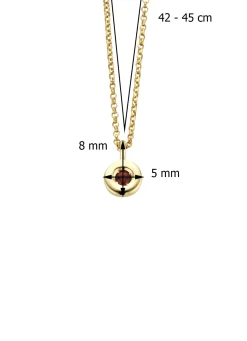 Diamond Point Colliers Met Kleurstenen<Birthstones gouden hanger met kleursteen Januari