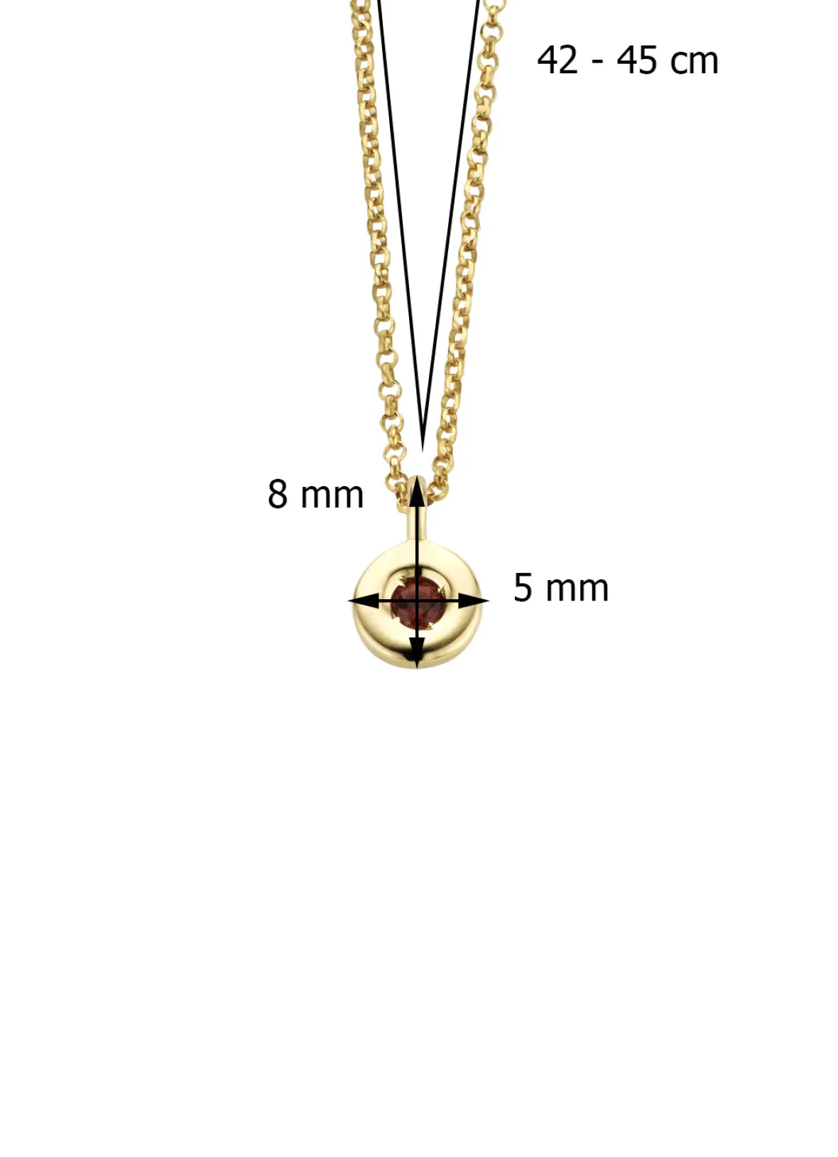 Diamond Point Colliers Met Kleurstenen<Birthstones gouden hanger met kleursteen Januari
