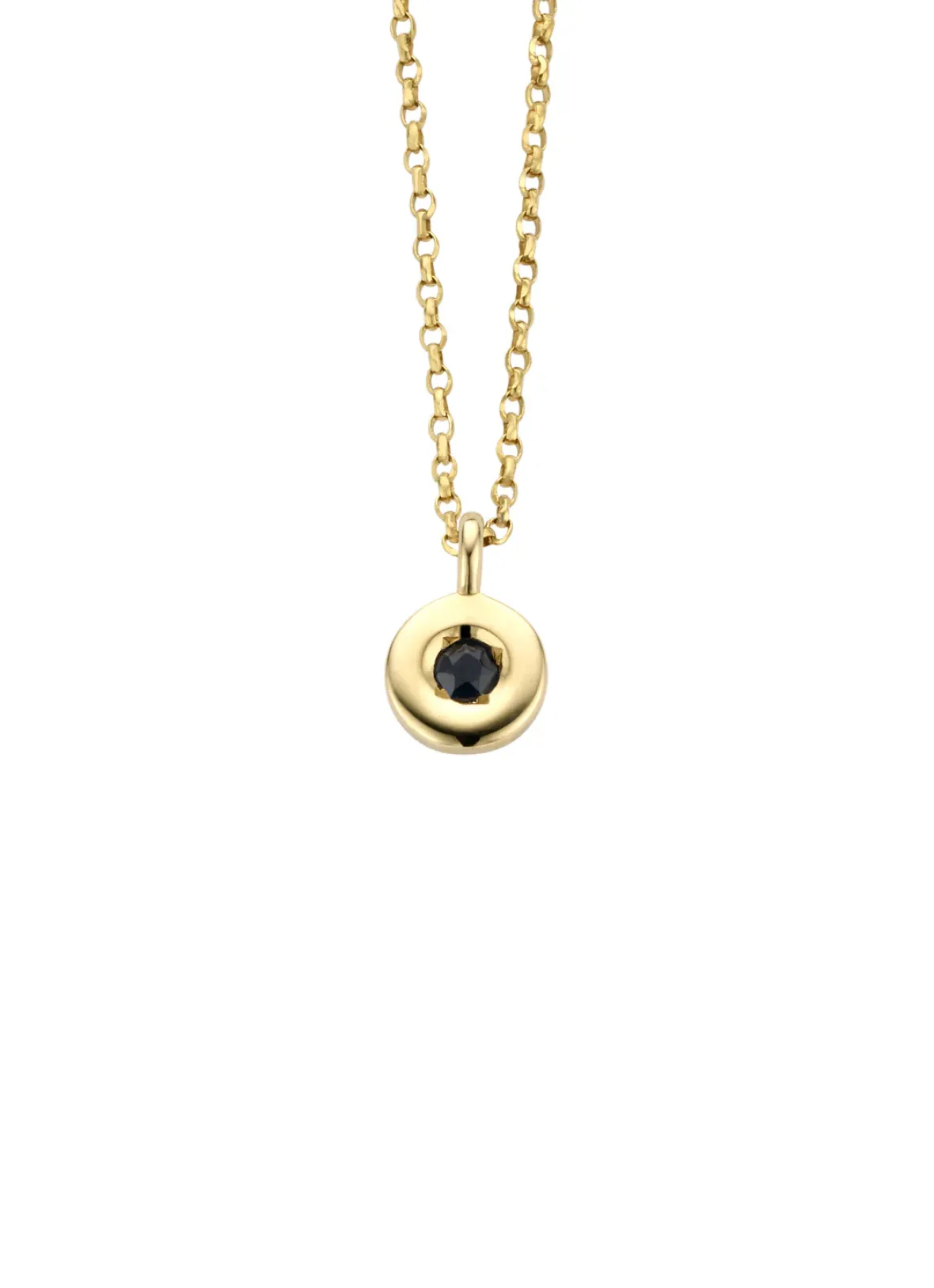 Diamond Point Colliers Met Kleurstenen<Birthstones gouden hanger met kleursteen September