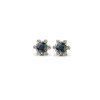 Diamond Point Geelgouden Oorsieraden|Oorsieraden Met Kleurstenen<Geelgouden oorsieraden, 0.60 ct blauwe saffier, Empress