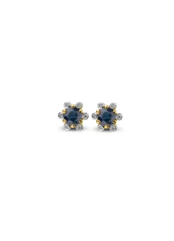 Diamond Point Geelgouden Oorsieraden|Oorsieraden Met Kleurstenen<Geelgouden oorsieraden, 0.60 ct blauwe saffier, Empress