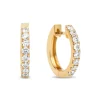 Diamond Point Geelgouden Oorsieraden|Diamanten Oorsieraden<Geelgouden oorsieraden, 0.50 ct diamant, Hearts & Arrows