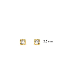 Diamond Point Geelgouden Oorsieraden|Diamanten Oorsieraden<Geelgouden oorsieraden, 0.08 ct diamant, Joy