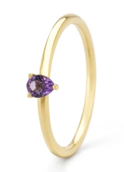 Diamond Point Geelgouden Ringen|Ringen Met Kleurstenen<Geelgouden ring, 0.13 ct paarse amethist, Joy