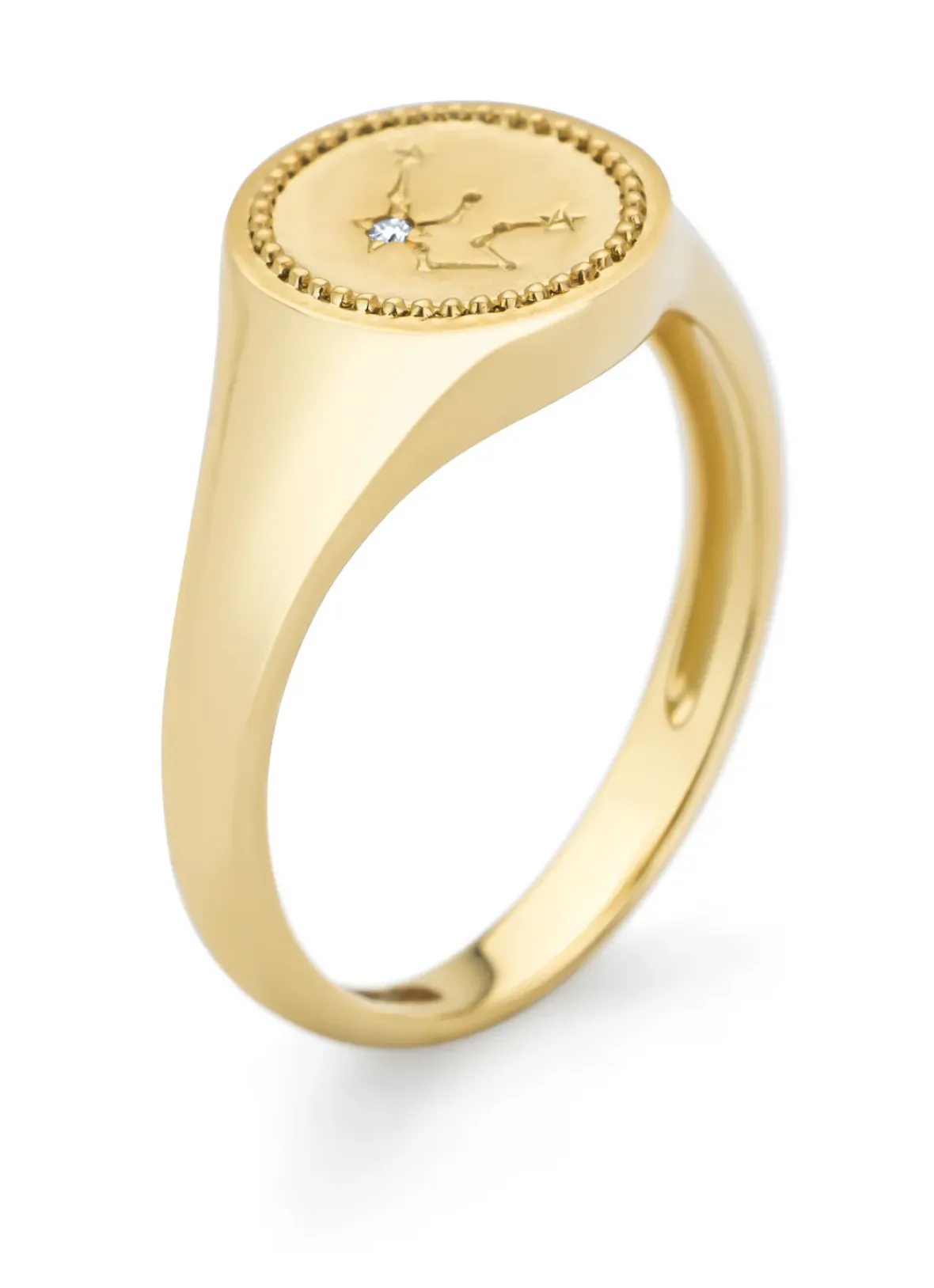 Diamond Point Geelgouden Ringen|Diamanten Ringen<Geelgouden zegelring, Zodiac-Aquarius (Waterman)
