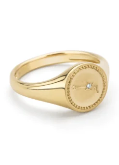 Diamond Point Geelgouden Ringen|Zegelringen<Geelgouden zegelring, Zodiac-Aries (Ram)