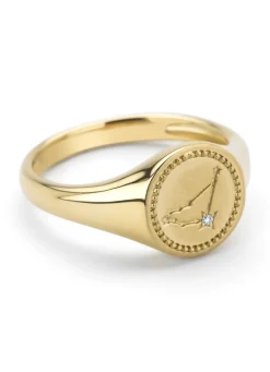 Diamond Point Geelgouden Ringen|Zegelringen<Geelgouden zegelring, Zodiac-Capricorn (Steenbok)