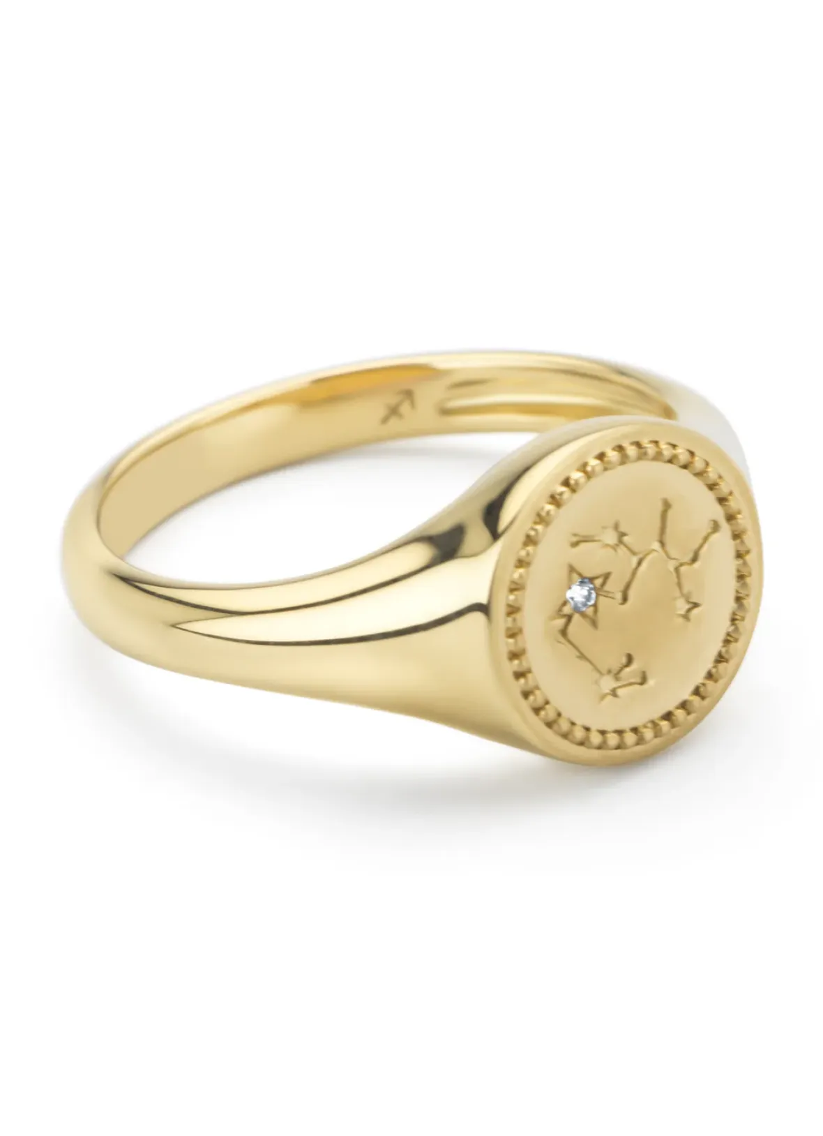 Diamond Point Geelgouden Ringen|Zegelringen<Geelgouden zegelring, Zodiac-Sagittarius (Boogschutter)
