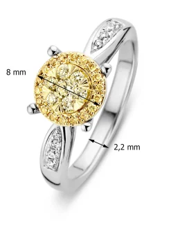 Diamond Point Diamanten Ringen|Verlovingsringen<Gouden ring, 0.33 ct diamant, Enchanted
