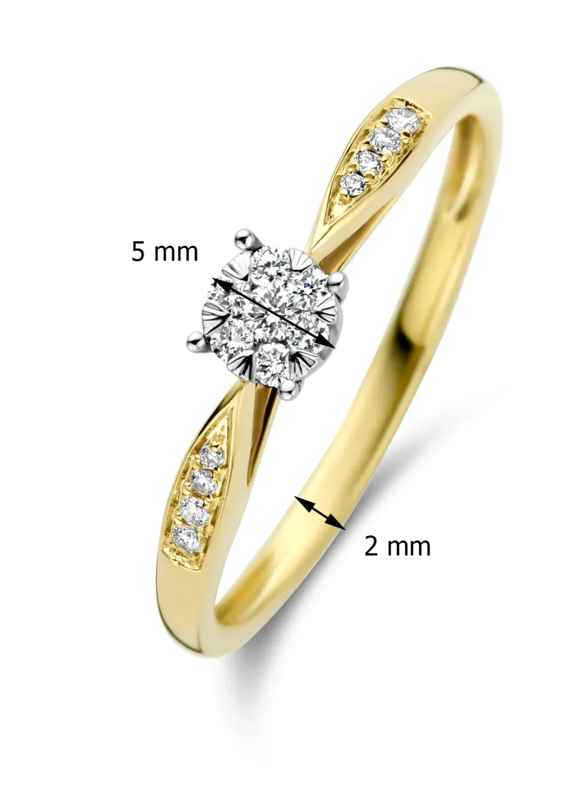 Diamond Point Diamanten Ringen|Verlovingsringen<Gouden ring, 0.15 ct diamant, Enchanted