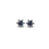 Diamond Point Witgouden Oorsieraden|Oorsieraden Met Kleurstenen<Witgouden oorsieraden, 0.60 ct blauwe saffier, Empress